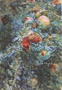 John Singer Sargent Pomegranates (mk18) Norge oil painting reproduction